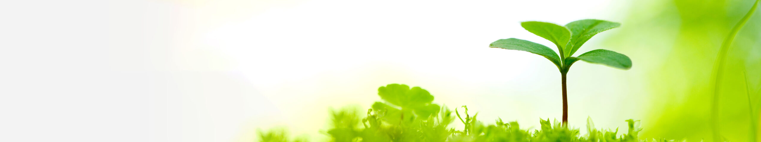 グループホーム ヒワサ・おとひめ