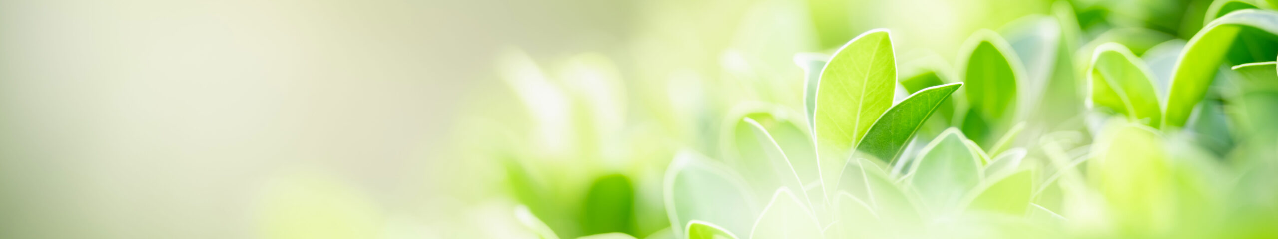 生活支援ハウス ヒワサ