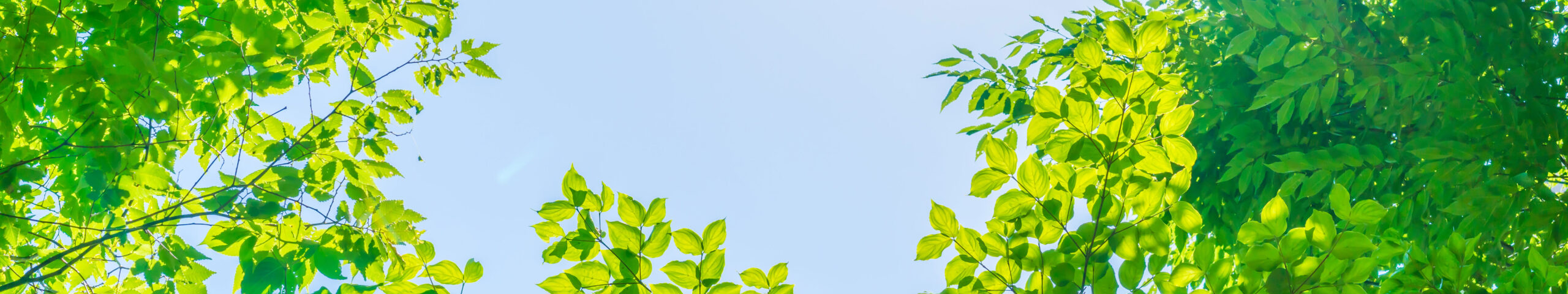 訪問介護・居宅介護支援事業所