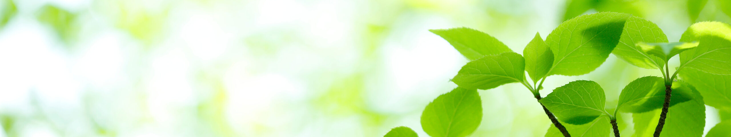 デイサービスセンターおとひめ・浦島